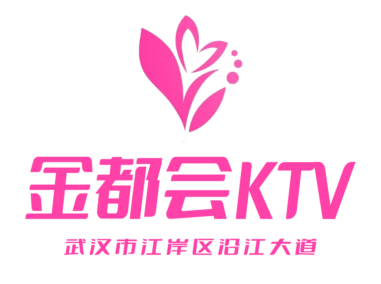 武漢金都會(huì)KTV